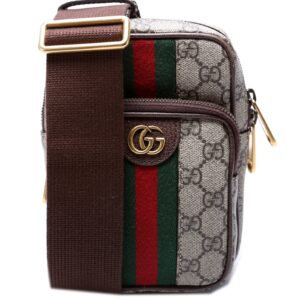 752565 Ophidia Gucci Supreme Mini Bag | Luna Bags