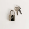 Cadenas Louis Vuitton | Luna Bags - Image 4