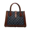 Blue Gucci Medium GG Denim Jackie 1961 Tote Satchel | Luna Bags - Image 2