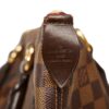 Brown Louis Vuitton Damier Ebene Saleya MM Tote Bag | Luna Bags - Image 5