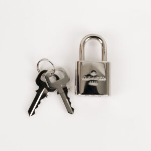 Cadenas Louis Vuitton | Luna Bags