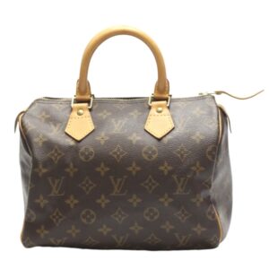 LOUIS VUITTON Speedy 25 Handbag | Luna Bags
