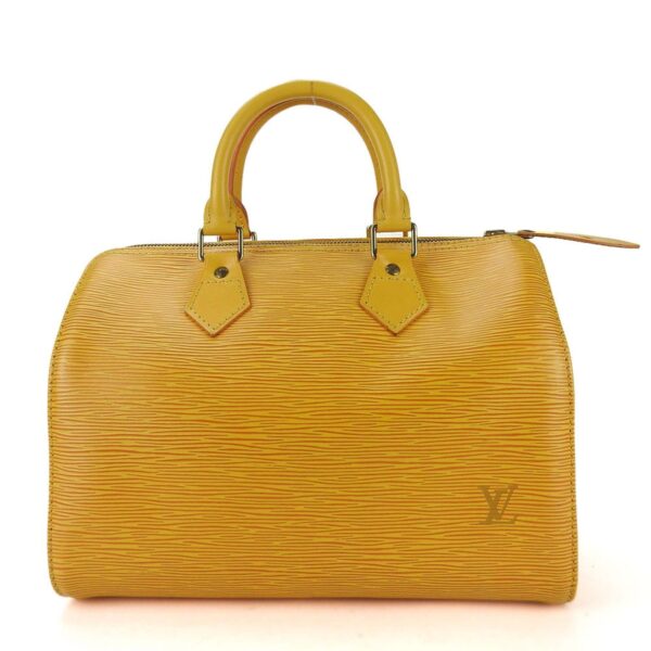 LOUIS VUITTON Speedy 25 Handbag | Luna Bags
