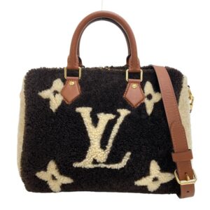 LOUIS VUITTON Speedy bandouliere 25 Handbag | Luna Bags