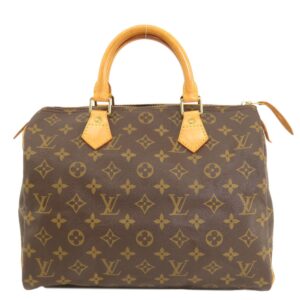 LOUIS VUITTON Speedy 30 Travel | Luna Bags