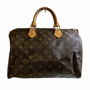 LOUIS VUITTON Speedy 30 Handbag | Luna Bags