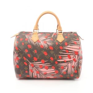 LOUIS VUITTON Speedy 30 Handbag | Luna Bags