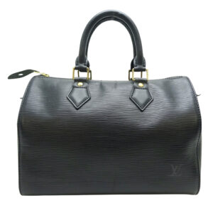LOUIS VUITTON Speedy 25 Handbag | Luna Bags