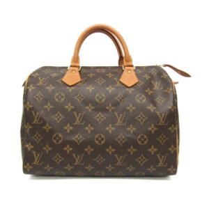 LOUIS VUITTON Speedy 30 Handbag | Luna Bags