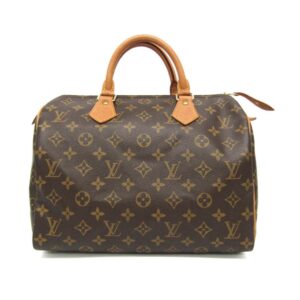 LOUIS VUITTON Speedy 30 Handbag | Luna Bags
