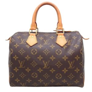 LOUIS VUITTON Speedy 25 Handbag | Luna Bags