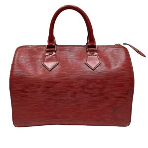 LOUIS VUITTON Speedy 25 Handbag | Luna Bags
