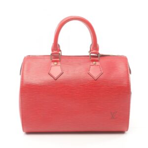 LOUIS VUITTON Speedy 25 Handbag | Luna Bags