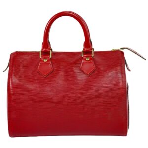 LOUIS VUITTON Speedy 25 Handbag | Luna Bags