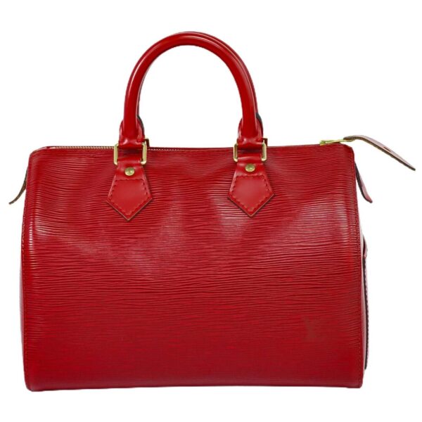 LOUIS VUITTON Speedy 25 Handbag | Luna Bags