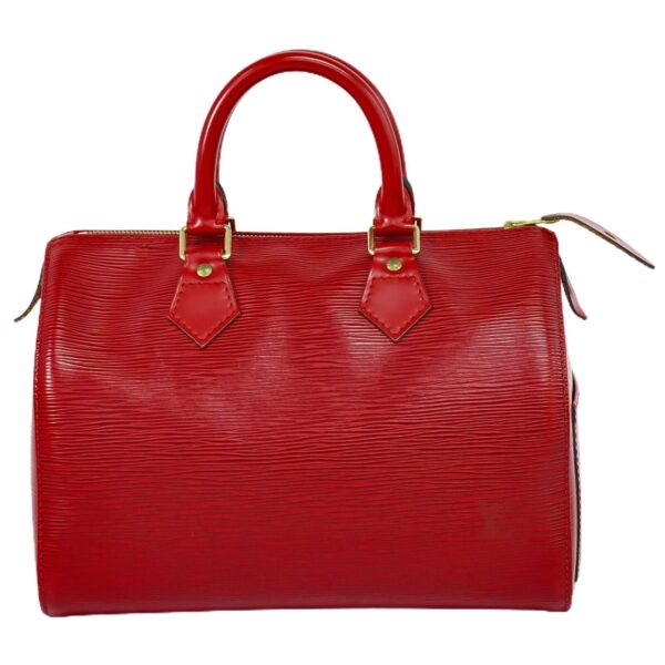 LOUIS VUITTON Speedy 25 Handbag | Luna Bags