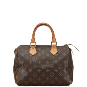 LOUIS VUITTON Speedy 25 Handbag | Luna Bags