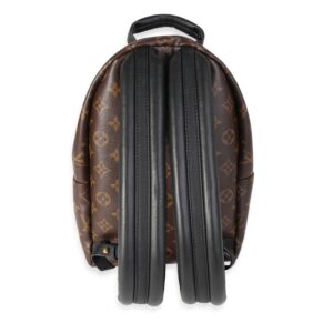 LOUIS VUITTON Monogram Canvas Palm Springs PM | Luna Bags