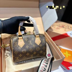 Louis vuitton Speedy 20 handbag | Luna Bags