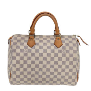 LOUIS VUITTON Speedy 30 Handbag | Luna Bags