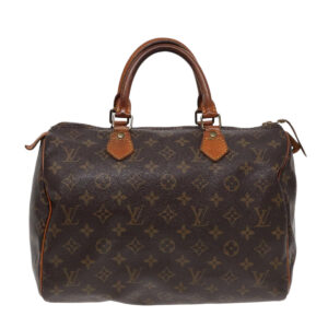 LOUIS VUITTON Speedy 30 Handbag | Luna Bags