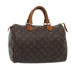 LOUIS VUITTON Speedy 30 Handbag | Luna Bags