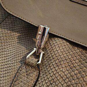 Gucci Jackie golden python hobo w gold hardware | Luna Bags