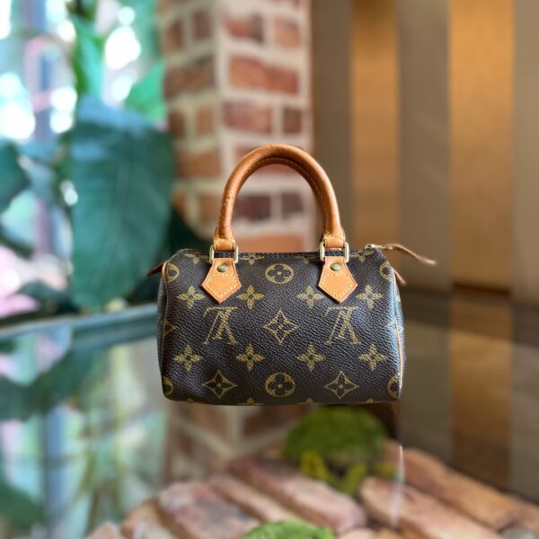 LOUIS VUITTON Sac HL Speedy Mini Brown Monogram Canvas Satchel | Luna Bags
