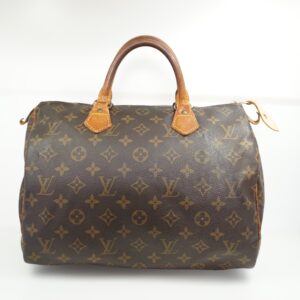 Louis Vuitton Speedy | Luna Bags