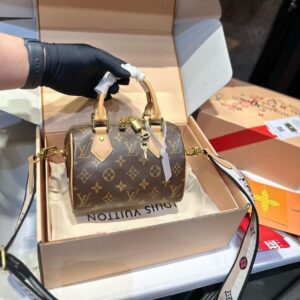 Louis vuitton Speedy 20 handbag | Luna Bags