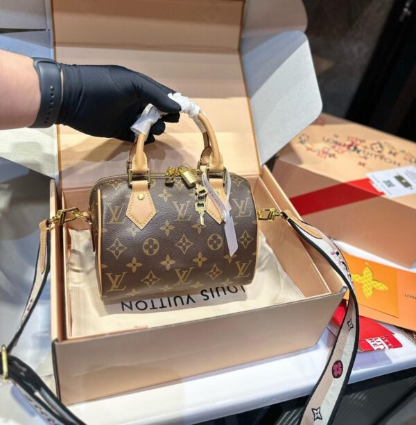 Louis vuitton Speedy 20 handbag | Luna Bags
