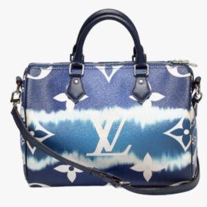 LOUIS VUITTON Speedy 30 Shopper | Luna Bags