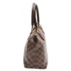 LOUIS VUITTON Saleya Handbag | Luna Bags - Image 10