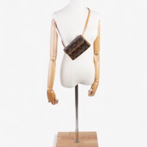 Louis Vuitton Pochette Florentine Monogram Coated Canvas XS | Luna Bags