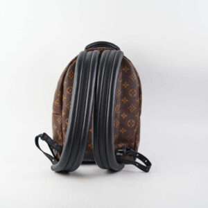 Louis Vuitton Palm Springs Reverse PM Backpack | Luna Bags