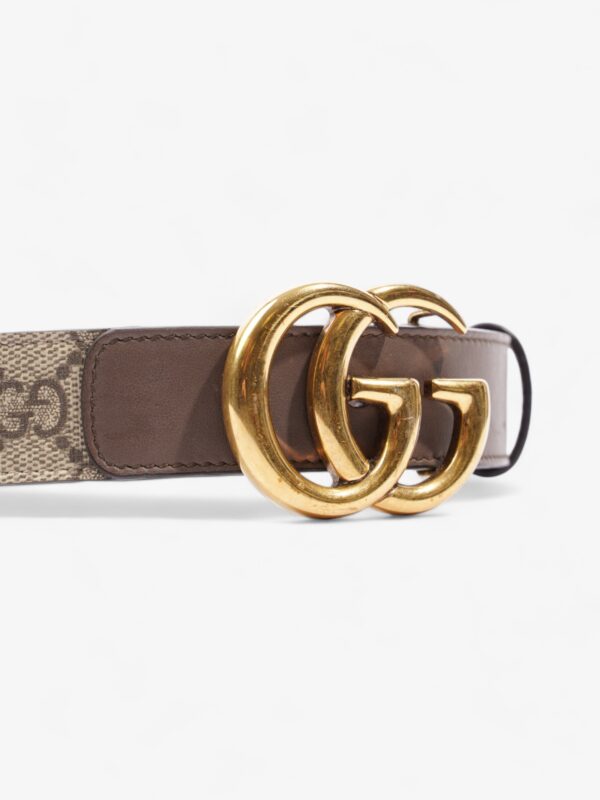 Gucci GG Marmont Thin Belt GG Supreme / Brown Leather 75cm / 30" | Luna Bags