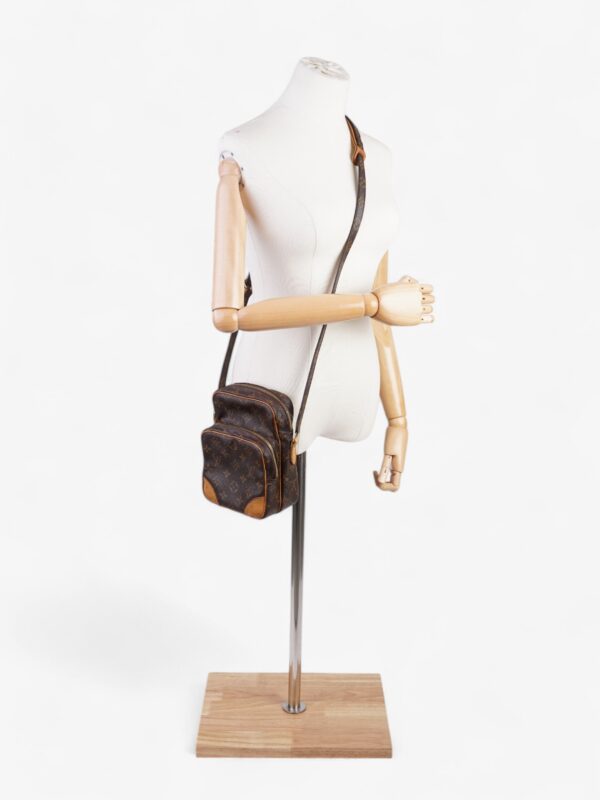 Louis Vuitton Amazon Monogram Canvas | Luna Bags