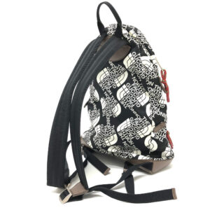 GUCCI Backpack 650288 Nylon / leather Black x white GUCCIxTHE NORTH FACE collaboration mens Used | Luna Bags