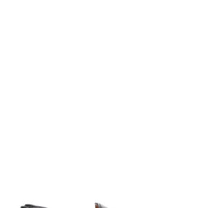 GUCCI Jordaan Flats Black | Luna Bags