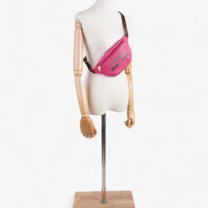 Gucci Logo Web Bum Bag Neon Pink / Green / Red Leather | Luna Bags