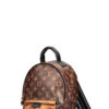 LOUIS VUITTON Palms Springs Backpack Reverse PM | Luna Bags - Image 6