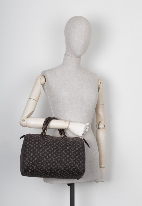 LOUIS VUITTON Speedy 30 MNG Idylle Brown | Luna Bags