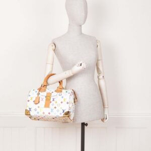 LOUIS VUITTON Speedy Bag 30 Murakami | Luna Bags