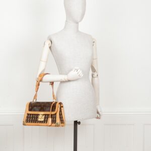 LOUIS VUITTON Rabat Bag Limited Edition | Luna Bags