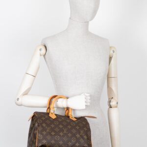 LOUIS VUITTON Speedy 25 MNG Canvas | Luna Bags