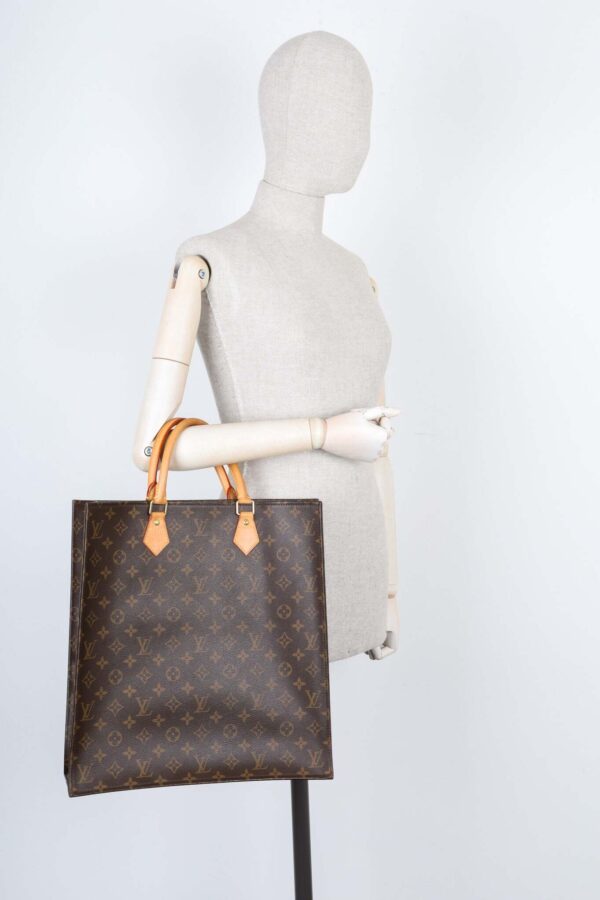 LOUIS VUITTON Sac Plat Canvas MNG | Luna Bags