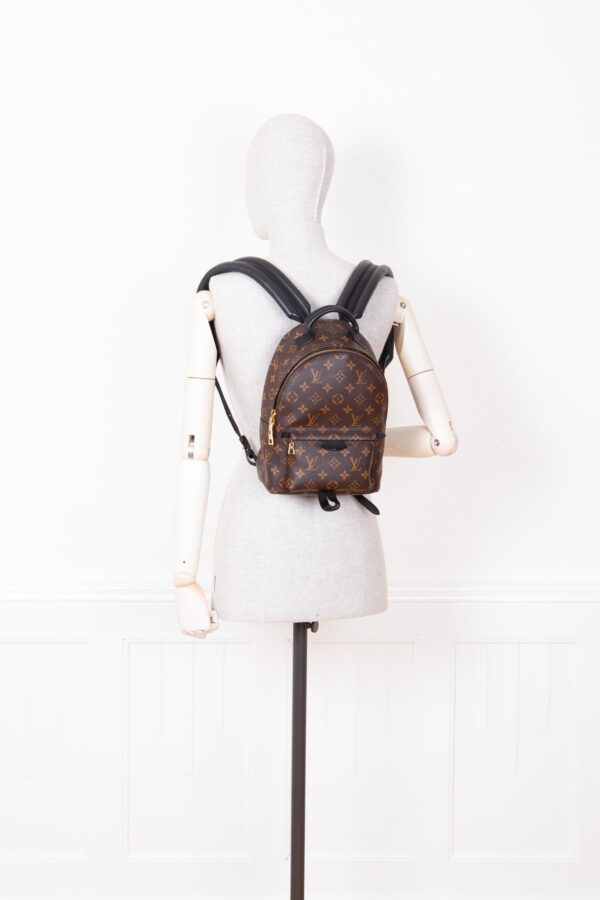 LOUIS VUITTON Palm Springs PM Backpack Canvas MNG | Luna Bags
