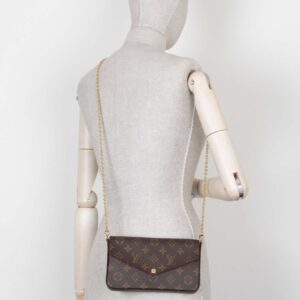 LOUIS VUITTON Felicie Pochette Bag MNG Canvas | Luna Bags