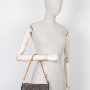 LOUIS VUITTON Pochette Accessoires MNG Canvas | Luna Bags