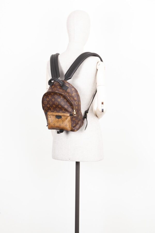 LOUIS VUITTON Palms Springs Backpack Reverse PM | Luna Bags
